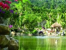 【热带天堂】<三亚亚龙湾-热带天堂森林双飞五天游>