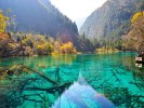 九寨沟/黄龙3日游(品质团)